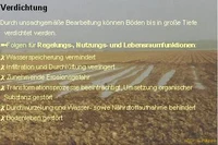 Verdichtung