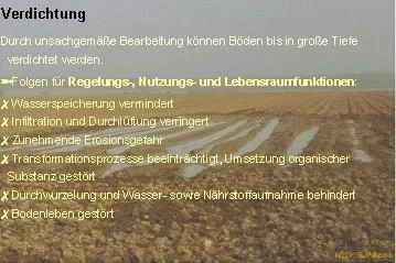 Verdichtung