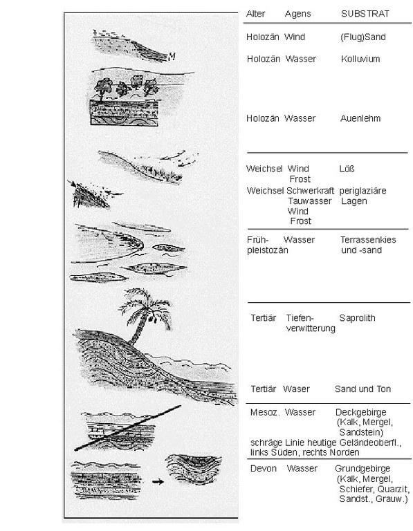 Substrat Genese