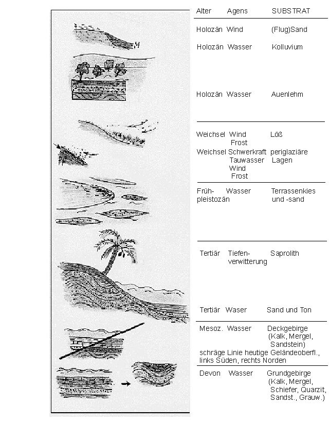 Substrat Genese