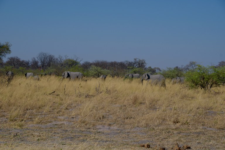 Landscape Namibia